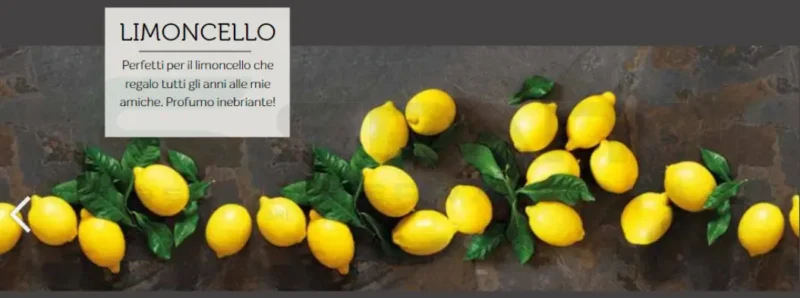 Tappeto passatoia Sprinty Limoncello